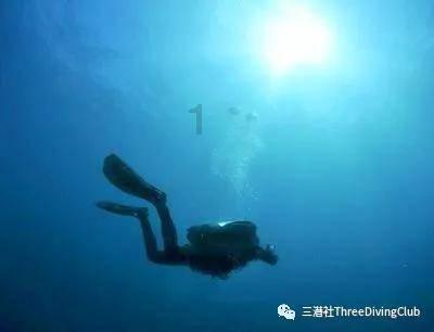 小僵尸射飞鸟